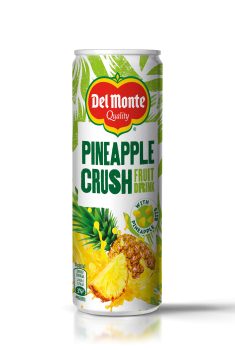 DM SUC DE ANANAS CU BUCATI 240ML