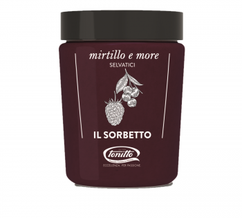 Sorbet de afine si mure Tonitto, 500ml