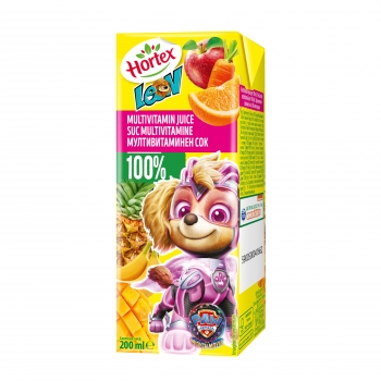 LEON 100% SUC MULTIVITAMINE 0.2L CARTON